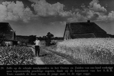 Steenkool Mijnen-6.jpg