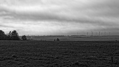 Wollseifen Eiffel