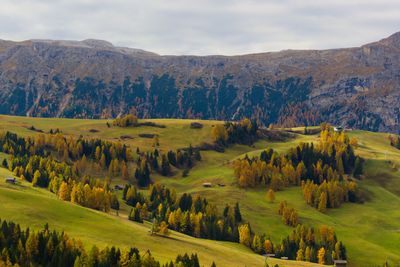 PA160136_DxO.jpg