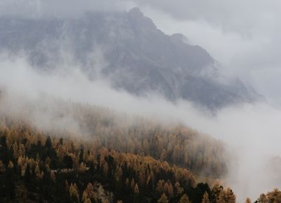PA160325_DxO.jpg