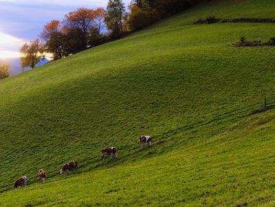 PA180704_DxO.jpg