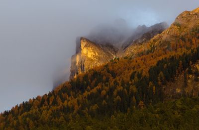 PA180723_DxO.jpg
