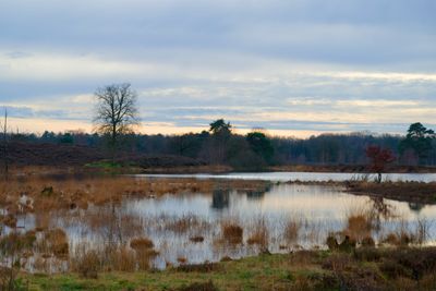 DSC_0236_DxO.jpg