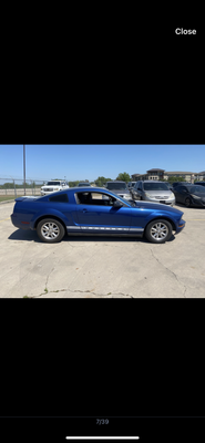 Fresh From Texas, 4.0 V6 5speed Mustang