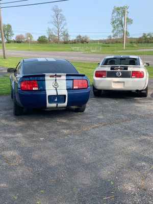 2008 Mustang 5 Speed From Texas, No Winters