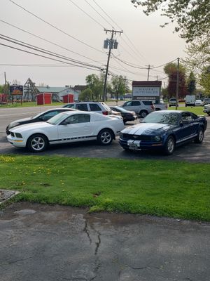 2008 Mustang 5 Speed From Texas, No Winters