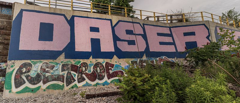 daser2115ms.jpg