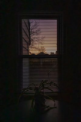 g13/46/3146/3/173181296.a3c3da5c.JPEG