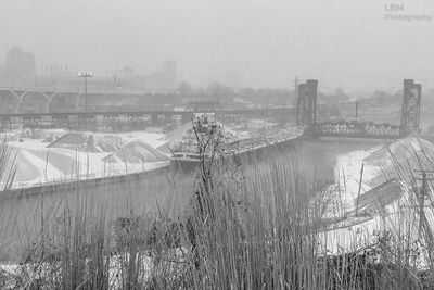 g13/46/3146/3/173255212.c636c249.JPEG