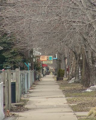 g13/46/3146/3/94942201.45a871e6.JPEG