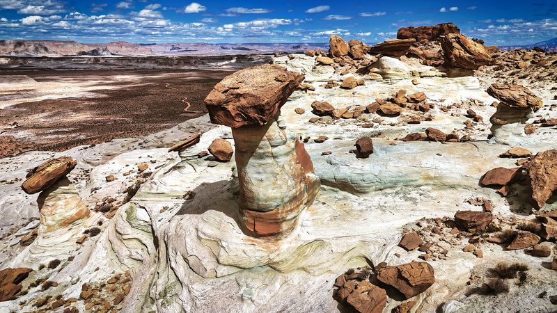Stud Horse Point