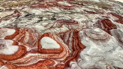 Bentonite Hills