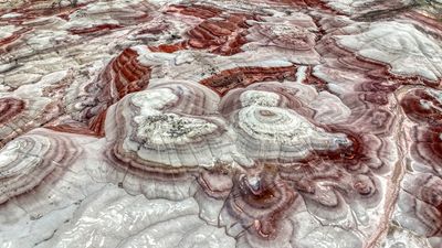Bentonite Hills