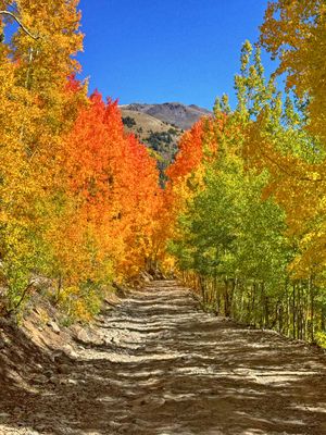 San Juan Mountains