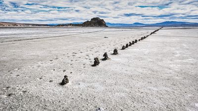Salted Pilings