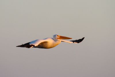 IMG_0008.JPG