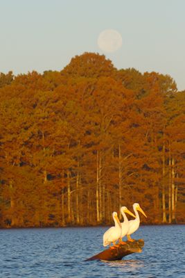 IMG_0065.JPG