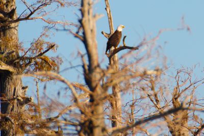 IMG_0367.JPG