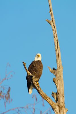 IMG_0383.JPG