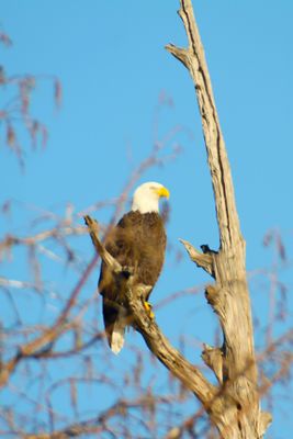 IMG_0385.JPG