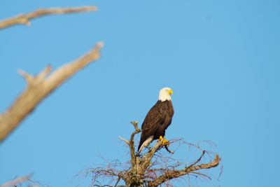 IMG_0403.JPG