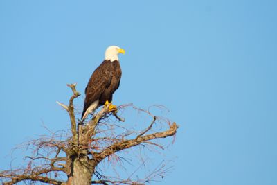 IMG_0411.JPG