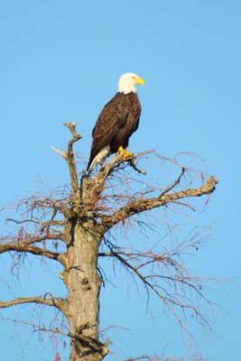 IMG_0424.JPG