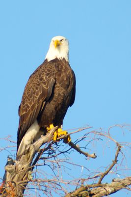 IMG_0435.JPG
