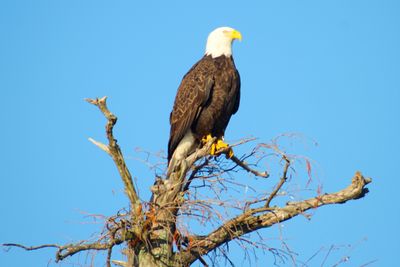 IMG_0444.JPG