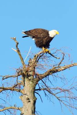IMG_0484.JPG