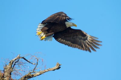 IMG_0495.JPG