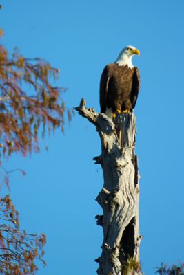 IMG_0515.JPG