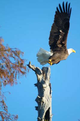 IMG_0517.JPG