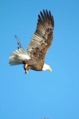 IMG_0519.JPG