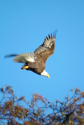 IMG_0521.JPG