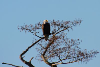 IMG_0550.JPG