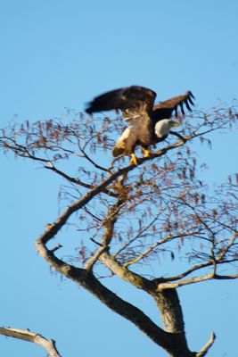 IMG_0559.JPG