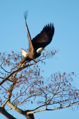 IMG_0560.JPG