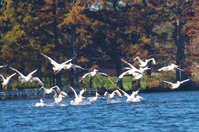 IMG_0726.JPG