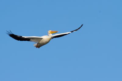 IMG_0745.JPG