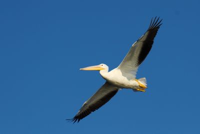 IMG_0751.JPG