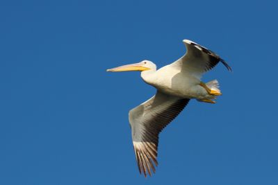 IMG_0752.JPG