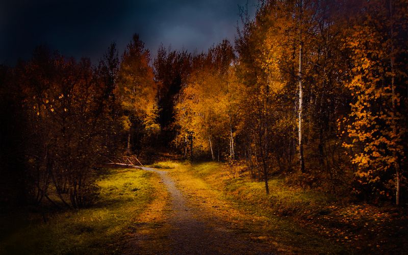 Petit pont de nuit - Fall Night