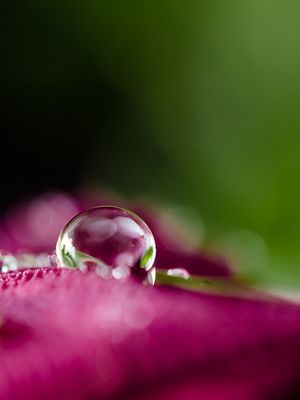 Pense rouge