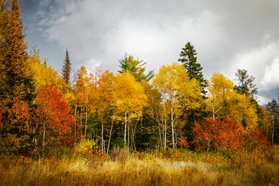 Octobre - October