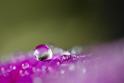 Goutte perdue - Lost