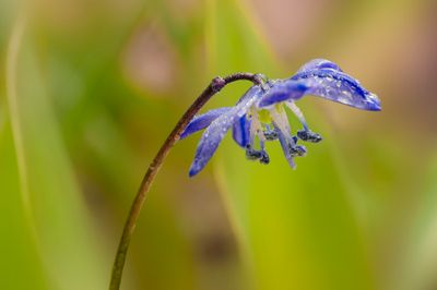 Magie de la nature et de l'eau