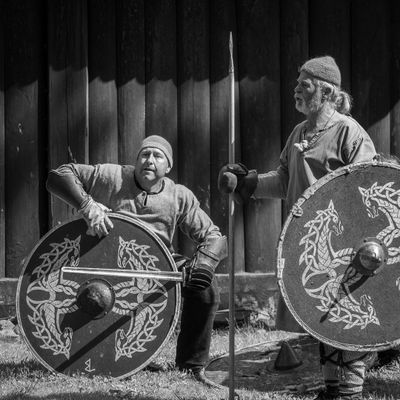 vikings__monocrome