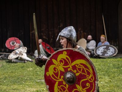 vikings_colour