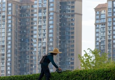 The Chinese gardner 2